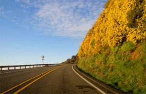 Oregon Wine Country fall