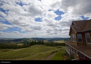 Oregon Wine Country 1