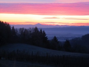 Sunrise in Oregon Wine Country 1