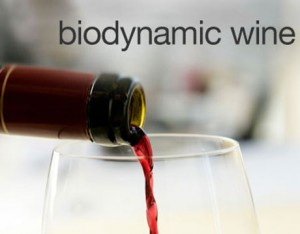 Biodynamic Farming: A GREENER approach for your wine 1