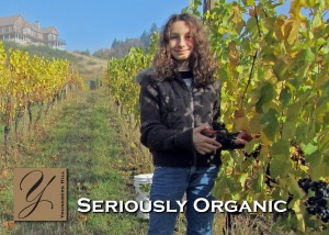 A New Generation of Winemaking: A Daughter’s Tale 1