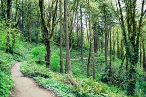 path at hoyt arboretum