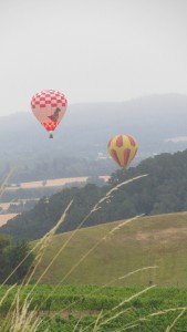 Touring Oregon Wine Country