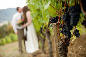 Wine country wedding