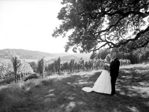 Wine country wedding
