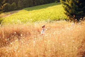 Wine country wedding