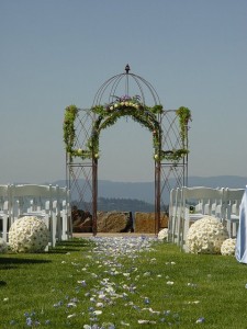 Wine Country Wedding