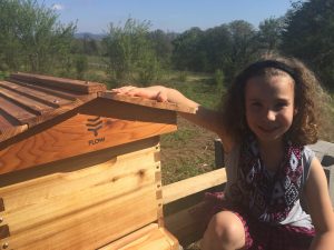 Becoming a Flow Hive Beekeeper at Youngberg Hill 1