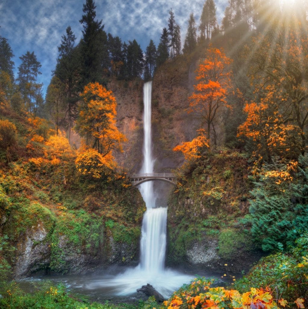 multnomah falls