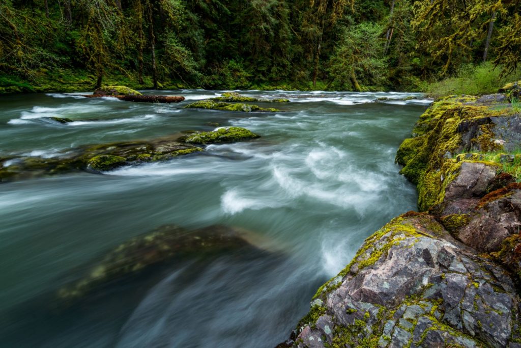 view of the santiam river, a branch of the willamette river