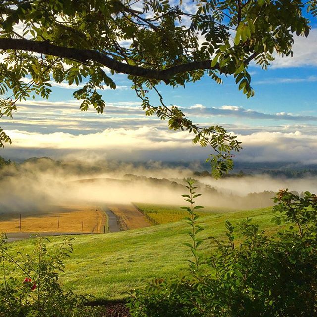 Gorgeous views of the Willamette Valley - one reason we're one of the best places to stay in the Willamette Valley