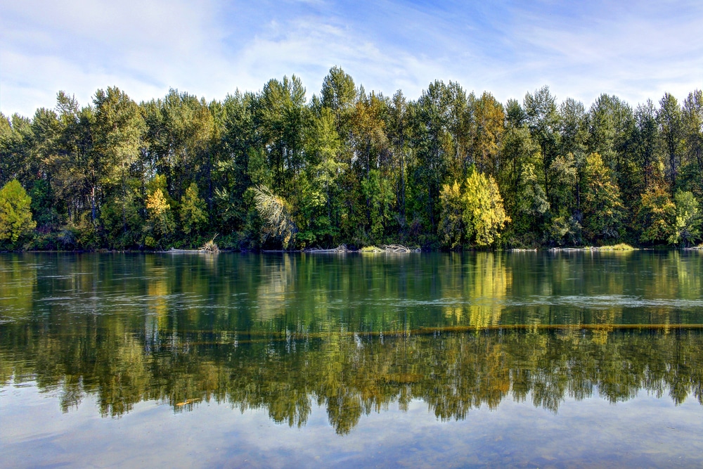 Calm morning for Willamette River Fishing near our Willamette Valley Bed and Breakfast