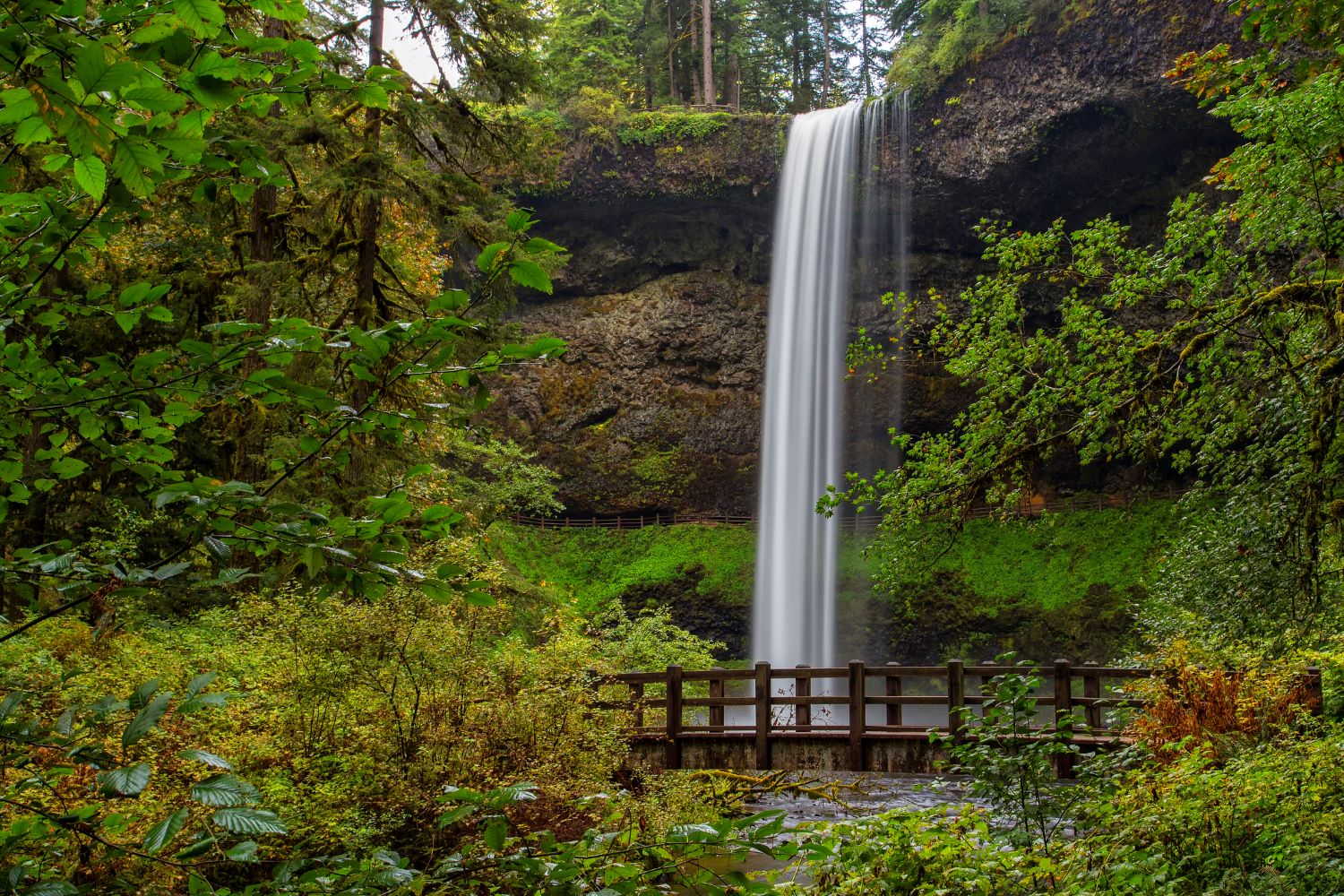 You Need To See These Waterfall Hikes In Willamette Valley