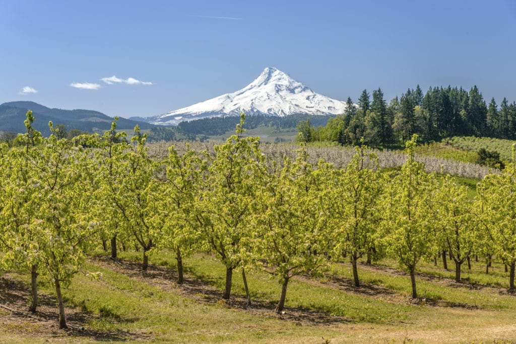 Oregon Scenic Drives to Take This Fall