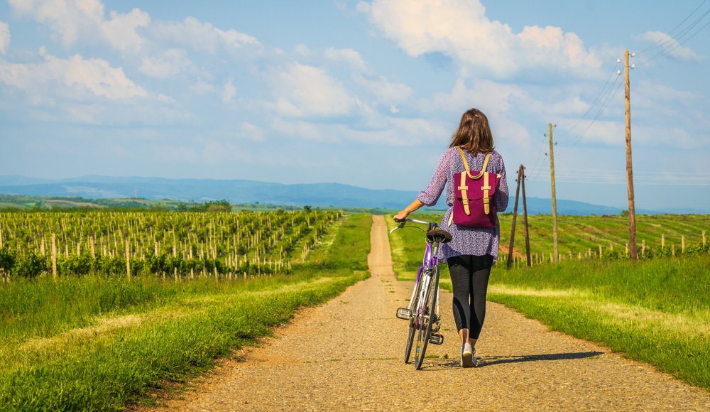 biking routes in willamette valley