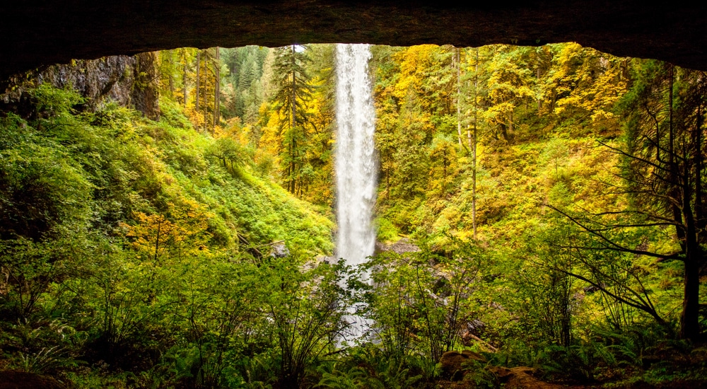 silver falls state park 