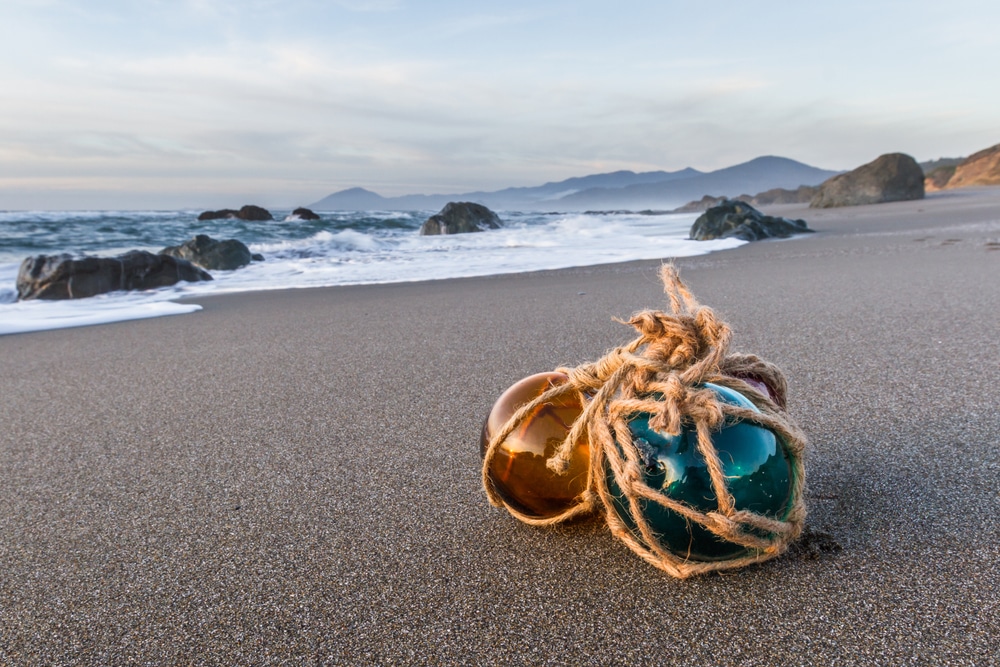 Lincoln City Crabbing & Clamming