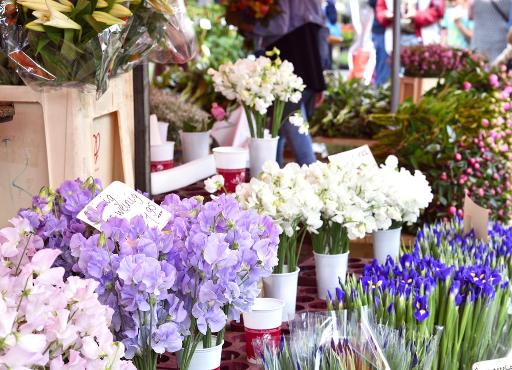 Downtown McMinnville, photo of flowers at a farmers market