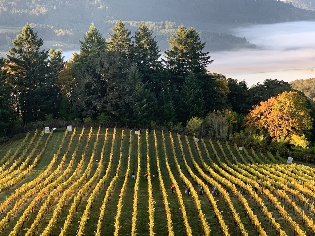 Things To Do In The Willamette Valley