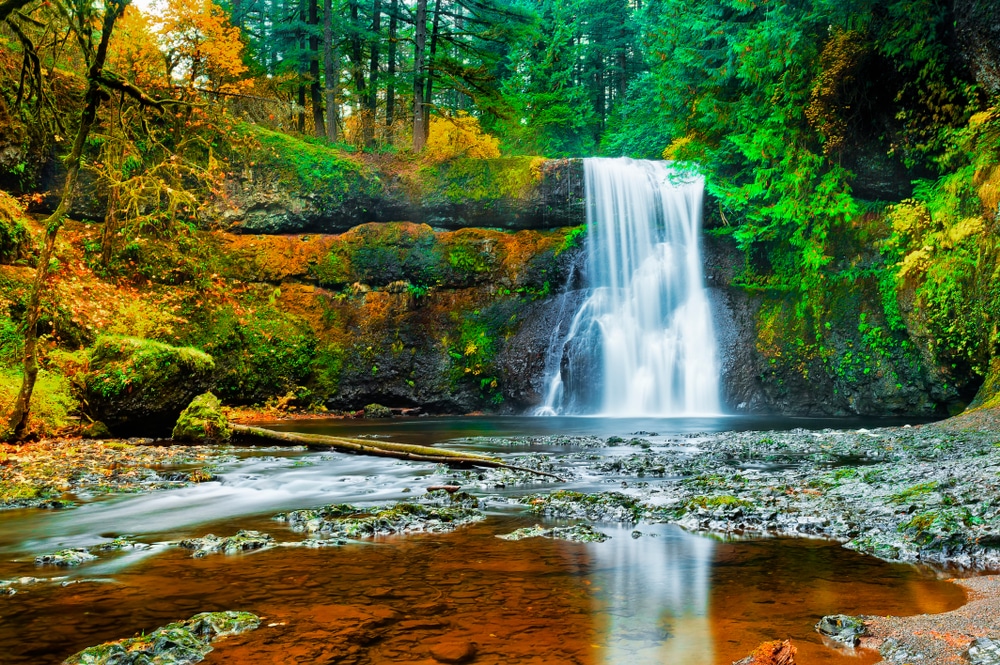 Head to Silver Falls State Park this Fall
