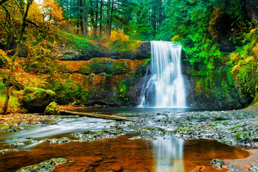 Silver Falls State Park: melhores trilhas curtas