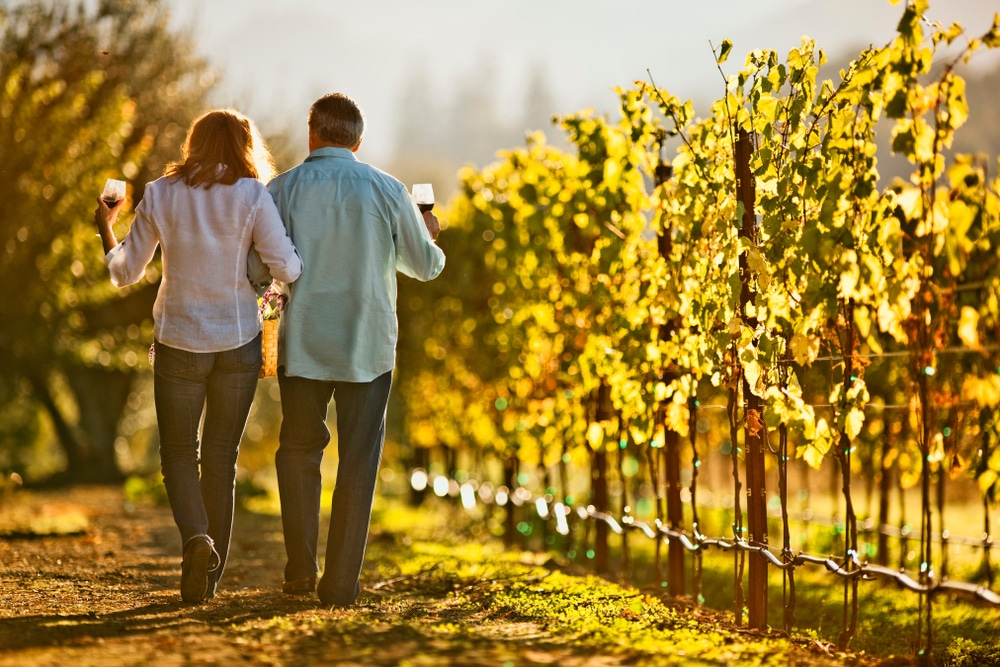 Wineries in Dundee, Oregon fro tasting and tours in the Willamette Valley