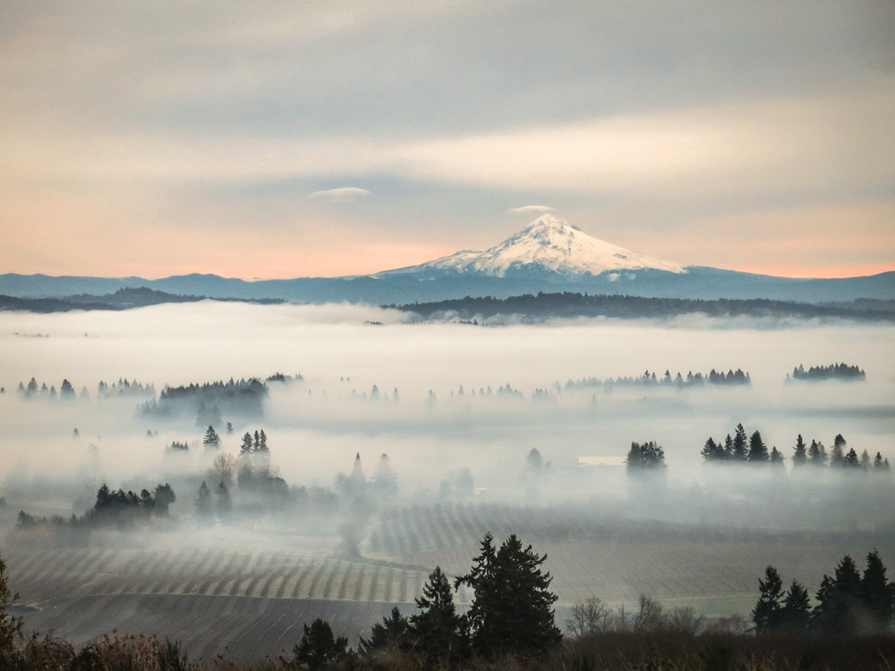 Newberg Oregon Wineries near our Willamette Valley Bed and Breakfast